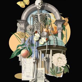 Pieces of our Lives van Marja van den Hurk
