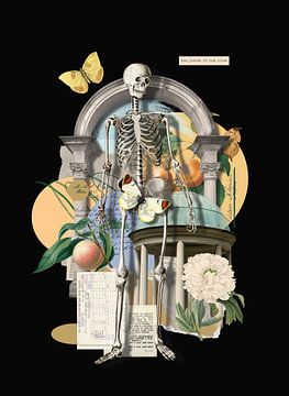 Pieces of our Lives van Marja van den Hurk