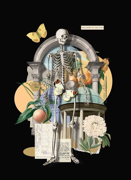 Pieces of our Lives van Marja van den Hurk