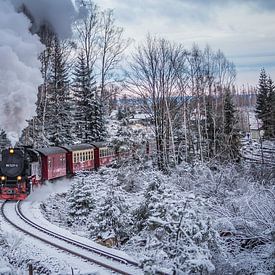 Train à vapeur dans le Harz sur Rob Bergman