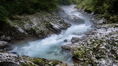 Vintgar-Schlucht, Slowenien von R_photography shop