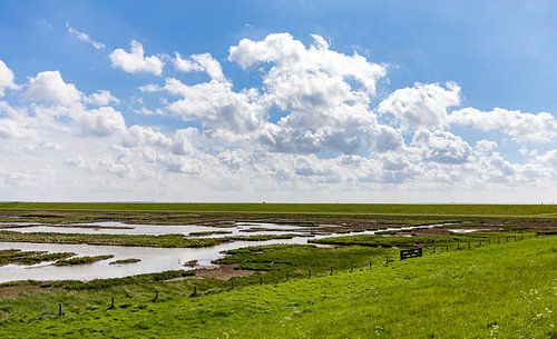 Koudekerksche Inlaag in Schouwen Duiveland