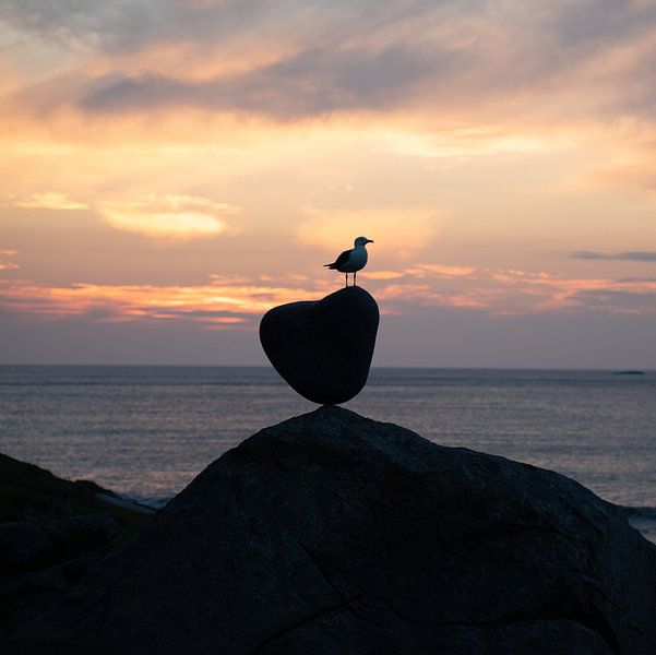 Bird freedom by Evelien Plag