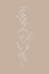 Boho botanische Wildblume in Beige Nr.7