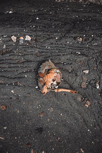 Schweigen von ISO_UP