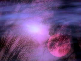 Abendhimmel von Vera Laake