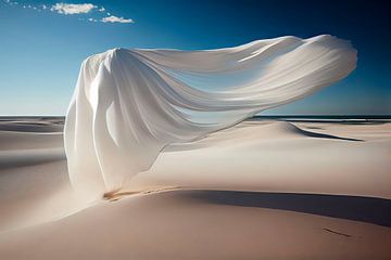 Schwimmende Tücher in der Wüste von Maarten Knops
