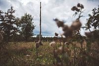 Uitzicht over het land