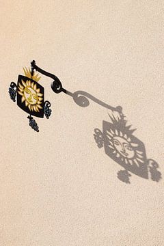 Solar Reflection van Ingrid de Vos - Boom