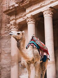 Gardien de Petra sur Roy Mosterd