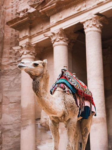 Wachter van Petra van Roy Mosterd