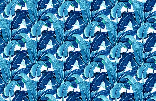 Matinique Banana Leaf Blue