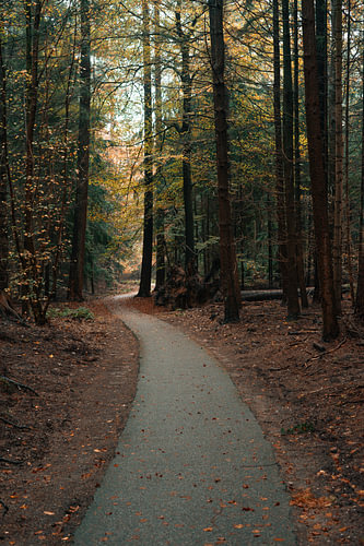 Ein herbstlicher Wanderweg