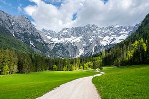 Blick auf ein Alpental im Frühling in den Alpen
