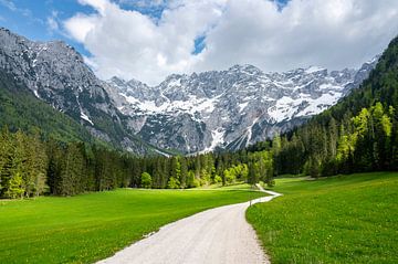Uitzicht op alpendal tijdens de lente in de Alpen van Sjoerd van der Wal Fotografie
