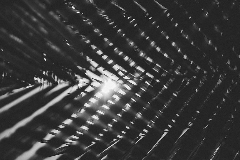 Art in botanical gardens through lines and light by Ken Tempelers