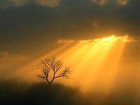 The Whispering of Light