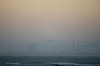 Dutch beach in the fog