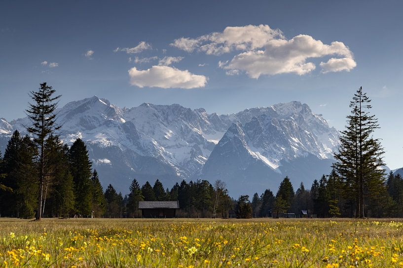Frühling im Werdenfelser Land mit Blick zur Zugspitze von Andreas Müller