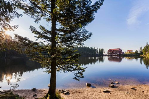 The Mummelsee lake at Black Forest in Germany by Werner Dieterich