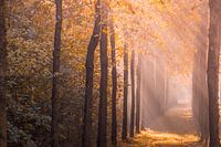 Zonsopkomst, Landgoed Slangenburg