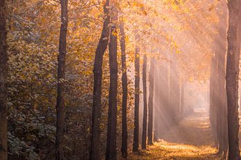 Sonnenaufgang, Anwesen Slangenburg