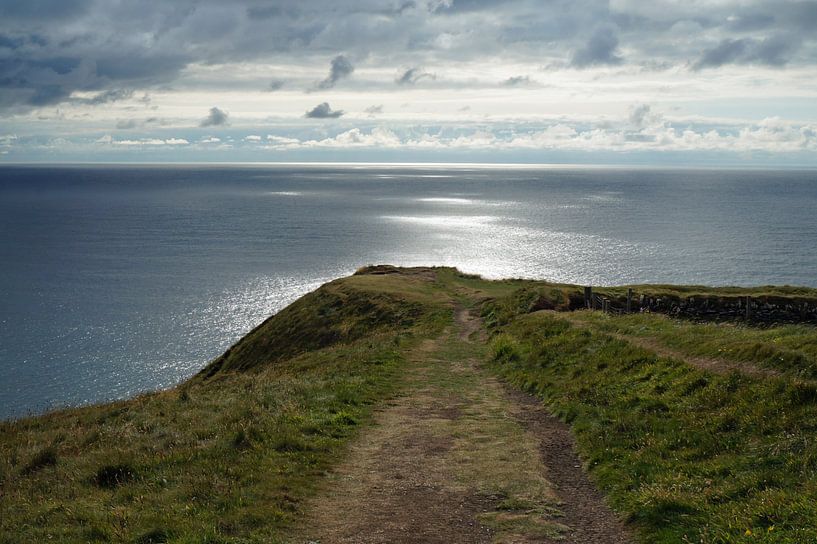 Cliffs of Moher - Irland von Babetts Bildergalerie