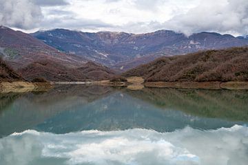 Bovilla more reflections by Werner Lerooy