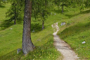 Entspannung in der Natur von Andreas Kilian