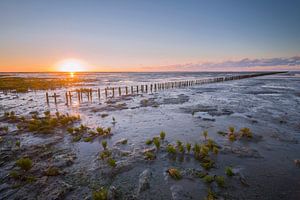 Wadden Sea by Richard Gilissen