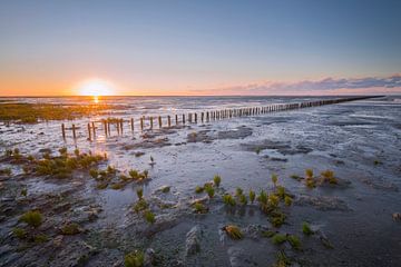 Wadden Sea by Richard Gilissen