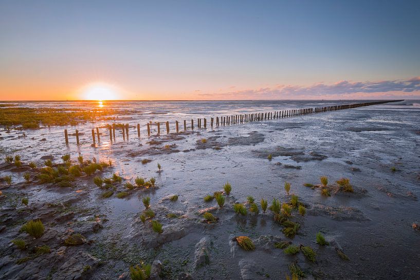 Wattenmeer von Richard Gilissen