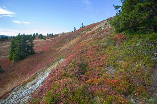 Couleurs d'automne dans les montagnes autrichiennes