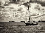 Schokker Albatros op het Lauwersmeer van Steven Boelaars thumbnail