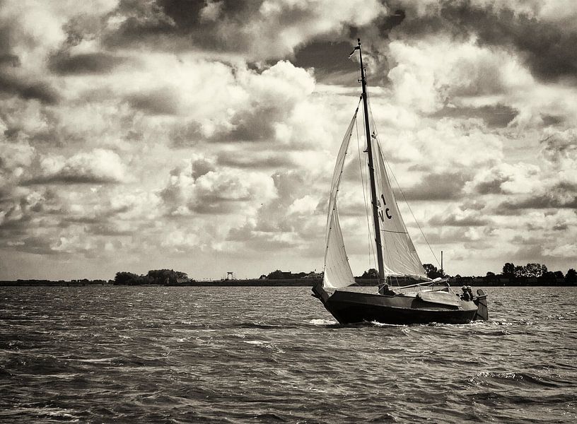 Schokker Albatros op het Lauwersmeer van Steven Boelaars