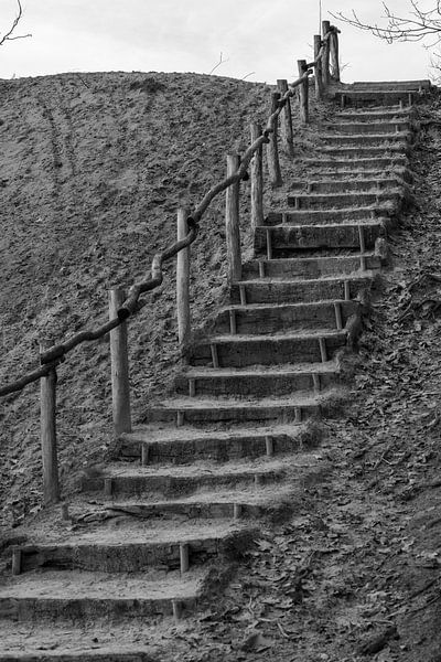 black and white by Bart Liesenborgs