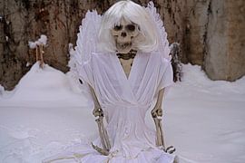 Skeletons with charm, humor and simply different