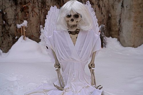 Skeletten met charme, humor en gewoon anders