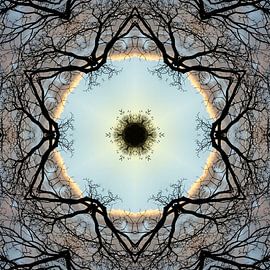 Nature mandala - with a heart of branches
