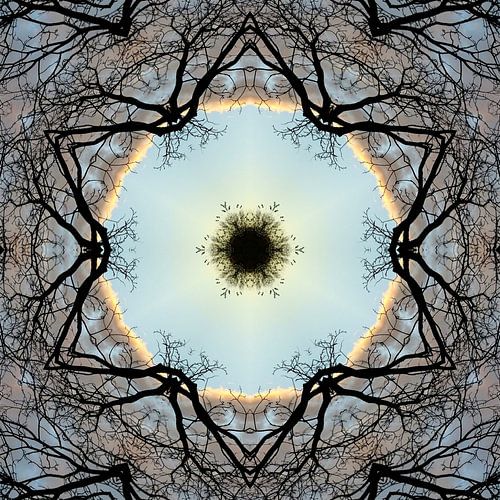 Natuur mandala - met een hart van takken