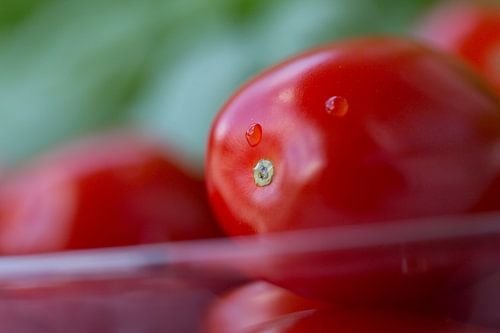 Tomatoes and basil by Martina Weidner