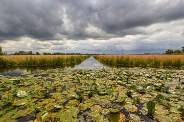 Hollands landschap van Jolene van den Berg