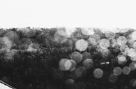 Sweater Weather by Rosanne Steeneken thumbnail