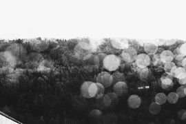 Sweater Weather by Rosanne Steeneken