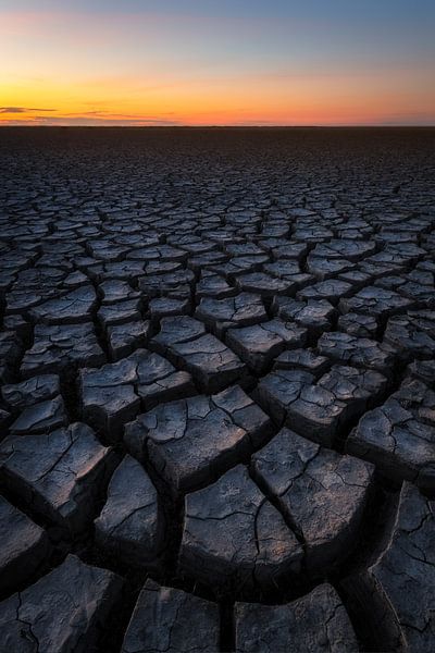 Scheuren in de klei door de droogte op de wadden in Groningen. van Jos Pannekoek