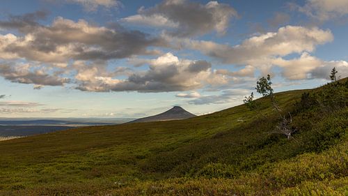 View of Mount Städjan in Dalarna, Sweden