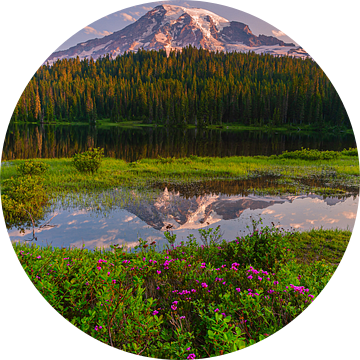 Zonsopkomst Mount Rainier, Washington State, Verenigde Staten van Henk Meijer Photography