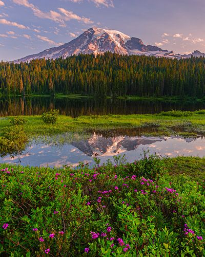 Zonsopkomst Mount Rainier, Washington State, Verenigde Staten