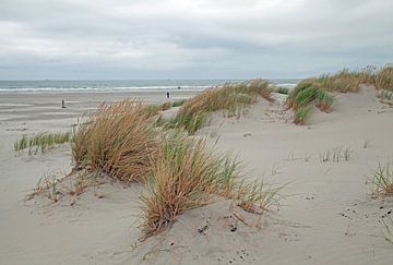 Paysage de dunes à Terschelling sur Helga Kuiper