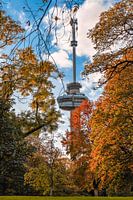 Herbst in Rotterdam